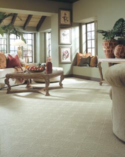 Carpet flooring with beige couches within the living room of a home