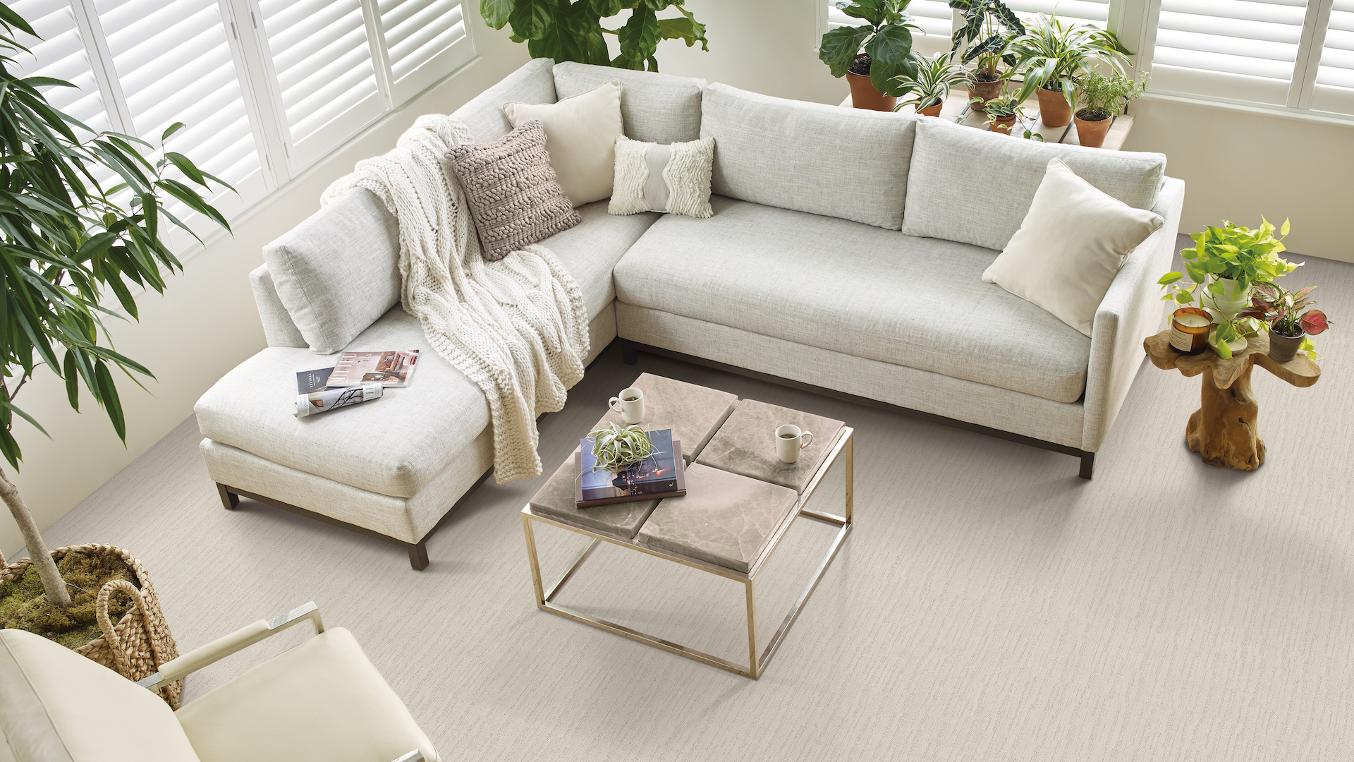 soft carpets in in a neutral living room with greenery